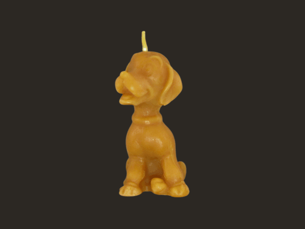 Bienenwachskerze Hund