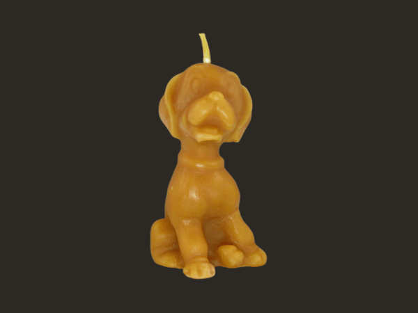 Bienenwachskerze Hund