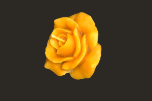 Bienenwachskerze-Rose