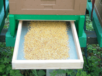 Blick in die herausgezogene Pollenschublade