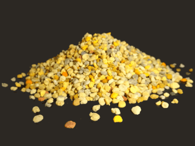 Pollenhöschen wie sie von den Bienen eingetragen werden